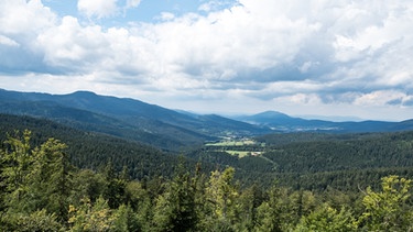 Landschaft im Bayerischen Wald in Niederbayern. | Bild: BR/Sylvia Bentele
