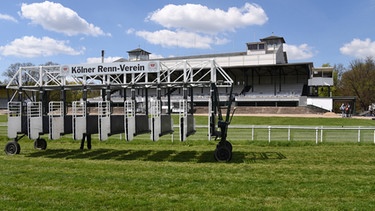 Die Startbox für Pferderennen des Kölner Rennvereins vor der Tribüne auf der Galopprennbahn in Köln Weidenpesch | Bild: picture-alliance/dpa/Horst Galuschka