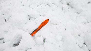Skispitze ragt aus Schnee, Verschüttetensuche nach Lawinenabgang (Symbolbild). | Bild: picture-alliance/dpa/Johann Groder