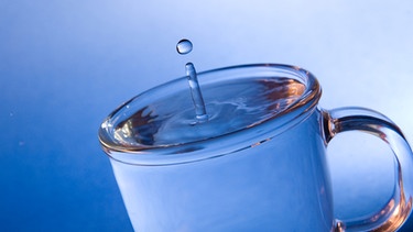 Ein Glas mit Wasser gefüllt | Bild: picture alliance/dpa