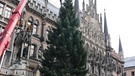 Feuerwehr stellte den Christbaum 2016 auf dem Münchner Marienplatz auf | Bild: BR / Axel Mölkner-Kappl