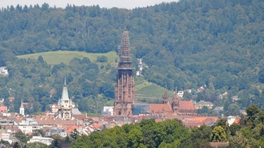 Blick auf Freiburg im Breisgau | Bild: picture-alliance/dpa