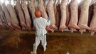 In einem Schlachthof sind bereits getötete Schweine in einer Reihe aufgehängt. | Bild: picture-alliance/dpa