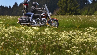 Motorradfaher bei Pfronten im Allgäu ein Symbolbild für die Liebe der Biker zu Bergstrecken und Natur, wie etwa im Nationalpark Westliche Wälder bei Augsburg. | Bild: picture-alliance/dpa