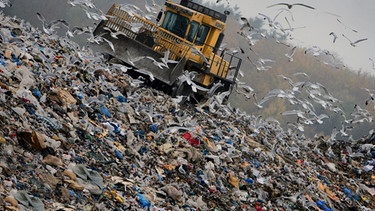 Mülldeponie | Bild: picture-alliance/dpa