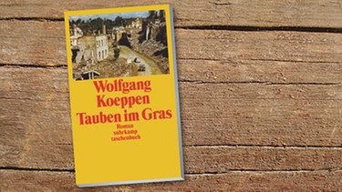 Buch-Cover: "Tauben im Gras" von Wolfgang Koeppen | Bild: Suhrkamp, colourbox.com