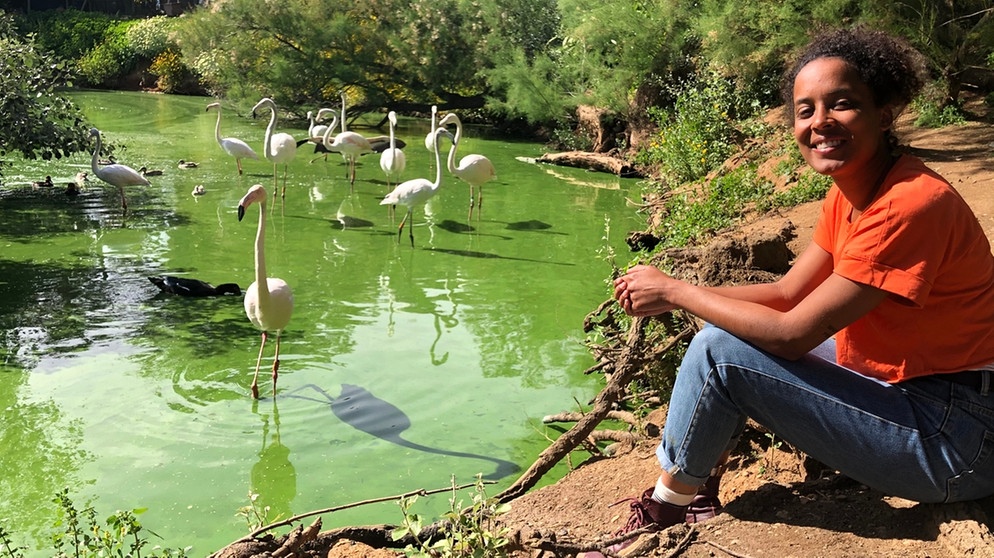 Wie rosa ist der Flamingo? | Pia erfährt Spannendes über die Flamingos in einem Vogelschutzgebiet. | Bild: BR |Text und Bild Medienproduktion