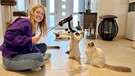 Der Ragdoll-Nachwuchs ist sehr verspielt. Nina beschäftigt die jungen Katzen mit einem Fell-Spielzeug.  | Bild: BR/Text und Bild Medienproduktion/ Katharina Brackmann