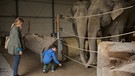 Emma (Anna Drexler) und Quirin (Florian Mathis) füttern Elefanten. | Bild: BR/Bernd Schuller