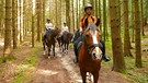 Im Wald muss die Reitergruppe besonders aufmerksam sein. Tiere oder Geräusche könnten die Pferde erschrecken. | Bild: BR | Text und Bild Medienproduktion GmbH & Co. KG