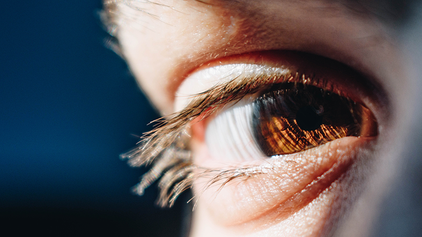 Ein braunes Auge mit Wimpern | Bild: unsplash