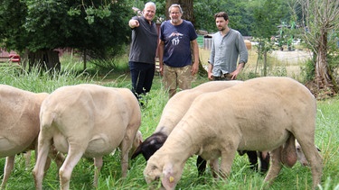 Alexander Herrmann (links) mit den Lammzüchtern Franz (Mitte) und Leonhard Riederer von Paar auf Gutshof Polting. | Bild: BR/Frank Johne
