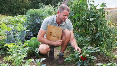 Gartenexperte Sebastian Ehrl bei der Begutachtung der Paprika. | Bild: BR/megaherz gmbh/Andrea Thiele
