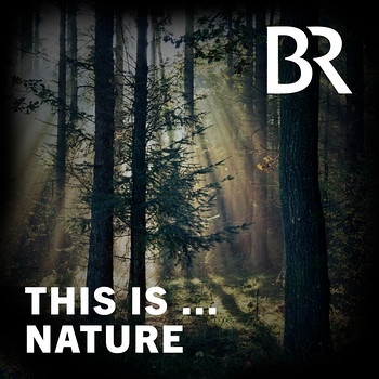 Cover des Podcasts "This Is Nature" | Bild: BR