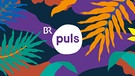 Das PULS-Talente-Programm, Grafik | Bild: BR