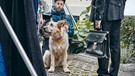 Filmhund Chewakka bei den Dreharbeiten | Bild: Filmbüro Münchner Freiheit GmbH / Philipp Thurmaier
