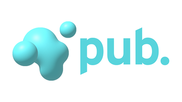 pub.-Logo | Bild: BR/pub.