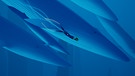 Blauwal | Bild: 505 Games / Giant Squid