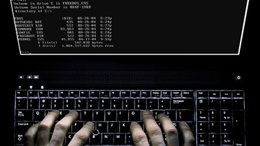 Hackerfotos analysiert | Bild: Virgiliu Obada/ shutterstock.com