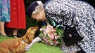 ARCHIV - Die britische Königin Elizabeth II. streichelt einen ihrer Corgi-Hunde (Archivfoto vom 20.5.1998). Im Februar 2012 feiert Großbritanniens Queen Elizabeth II. ihr 60. Thronjubiläum. Foto: EPA  (zu Themenpaket «Queen» vom 26.01.2012)  +++(c) dpa - Bildfunk+++ | Bild: epa PA