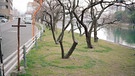 Fotodoks 2011, Alexander Ziegler, Hiroshima | Bild: Alexander Ziegler
