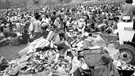 Hypologie: Woodstock | Bild: picture-alliance/dpa