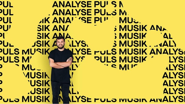 Fridls Favs - Die PULS Musik Analyse Playlist von PULS | Bild: BR