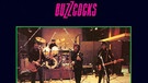 Cover des Buzzcocks-Albums "Going Steady" | Bild: EMI