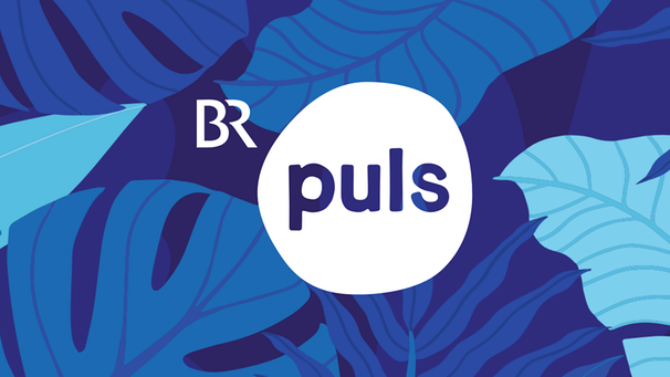 PULS, das junge Content-Netzwerk des BR | Bild: BR