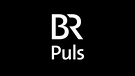 PULS Logo  | Bild: BR