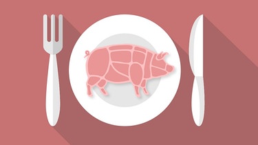 Fleisch essen ohne schlechtes Gewissen | Bild: BR