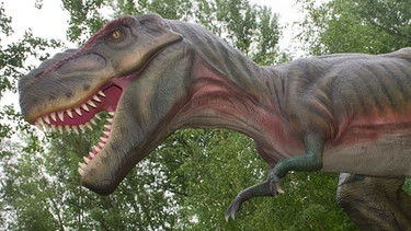 Tyrannosauraus Rex im Park | Bild: picture-alliance/dpa