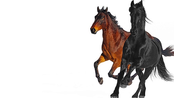 Lil Nas X - Old Town Road (feat. Billy Ray Cyrus) [Remix] | Bild: Lil Nas X (via YouTube)