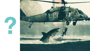 Ein Hai attackiert einen US-Navy-Hubschrauber in der Bucht von San Francisco - das Foto ist ein Fake. | Bild: Screenshot/ Collage: BR
