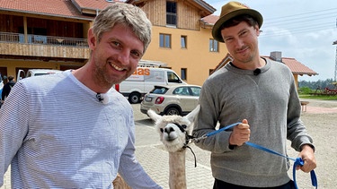 Die Woidboyz Bastian Kellermeier und Andreas Weindl sollen in Haiming bei der Alpakaschur helfen. | Bild: BR/Eva Schatz