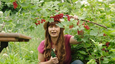 Beerenobst ernten und pflegen mit Sabrina Nitsche im Querbeet Garten: Rote Johannisbeere | Bild: BR / Bernhard Finger