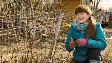 Beeren schneiden und Gewächshaus bepflanzen im Querbeet-Garten mit Sabrina NItsche | Bild: BR / Detlef Krüger