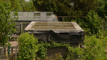 Dachbegrünung im Querbeet-Garten mit Sabrina NItsche | Bild: Jürgen katzur