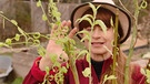 Weiden pflanzen im Querbeet-Garten mit Sabrina NItsche | Bild: BR / Tibor Blasy