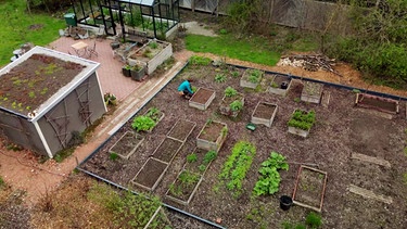 Gemüse pflanzen im Querbeet-Garten mit Sabrina NItsche | Bild: BR / Tibor Blasy