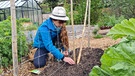 Rankgerüste für Zuckererbsen und Bohnen im Querbeet-Garten mit Sabrina Nitsche | Bild: Tobias Bode