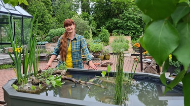 Hochbeet als Teich im Querbeet-Garten mit Sabrina Nitsche | Bild: Tobias Bode