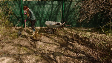 Rosenrankgerüst bauen und Wildrosen pflegen | Bild: BR / Marion Heinz