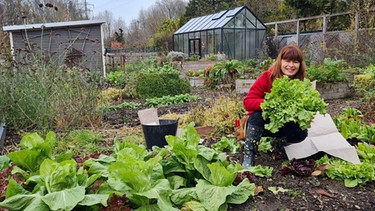 Salate (Endivie und Zuckerhut) und Feigen im Querbeet-Garten mit Sabrina NItsche | Bild: Tobias Bode