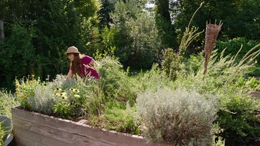 Schnittblumen im Querbeet-Garten mit Sabrina Nitsche: Kräuter ernten | Bild: BR / Robert Kumeth