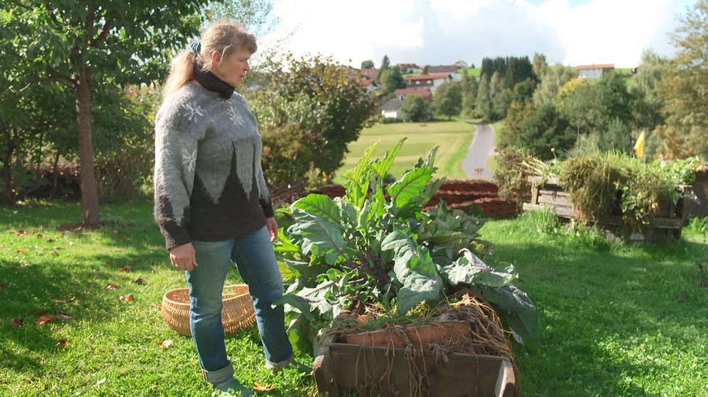 Gemüse auf Heuballen mit Lisa Haidorf (Hohenau, Lkr. Freyung-Grafenau)
| Bild: BR / Sorin Dragoi / Josef Mayerhofer