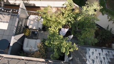 Dachterrasse von Nico Tröbinger in Wien | Bild: BR / Michael Ackermann