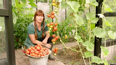 Querbeet Garten: Paprika und Tomaten ernten | Bild: BR / Tibor Blasy