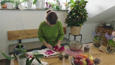 Drachenfrucht vermehren mit Sabrina Nitsche: Samrn auf Papier verteilen | Bild: BR / Bernhard Finger