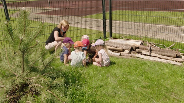 Projekt „Totholzbereich“ im Kindergarten Nesselwang | Bild: BR